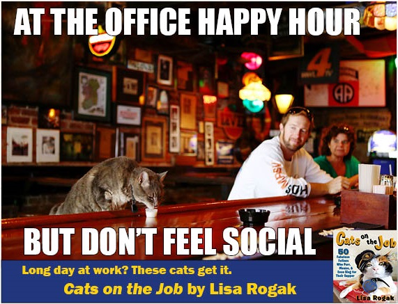 Farewell Happy Hour Meme / You are the weakest link...goodbye! | Know