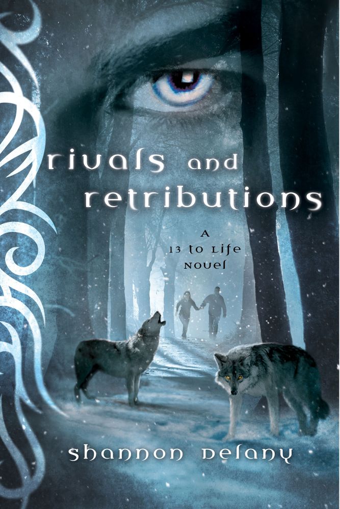 Rivals and Retribution cover
