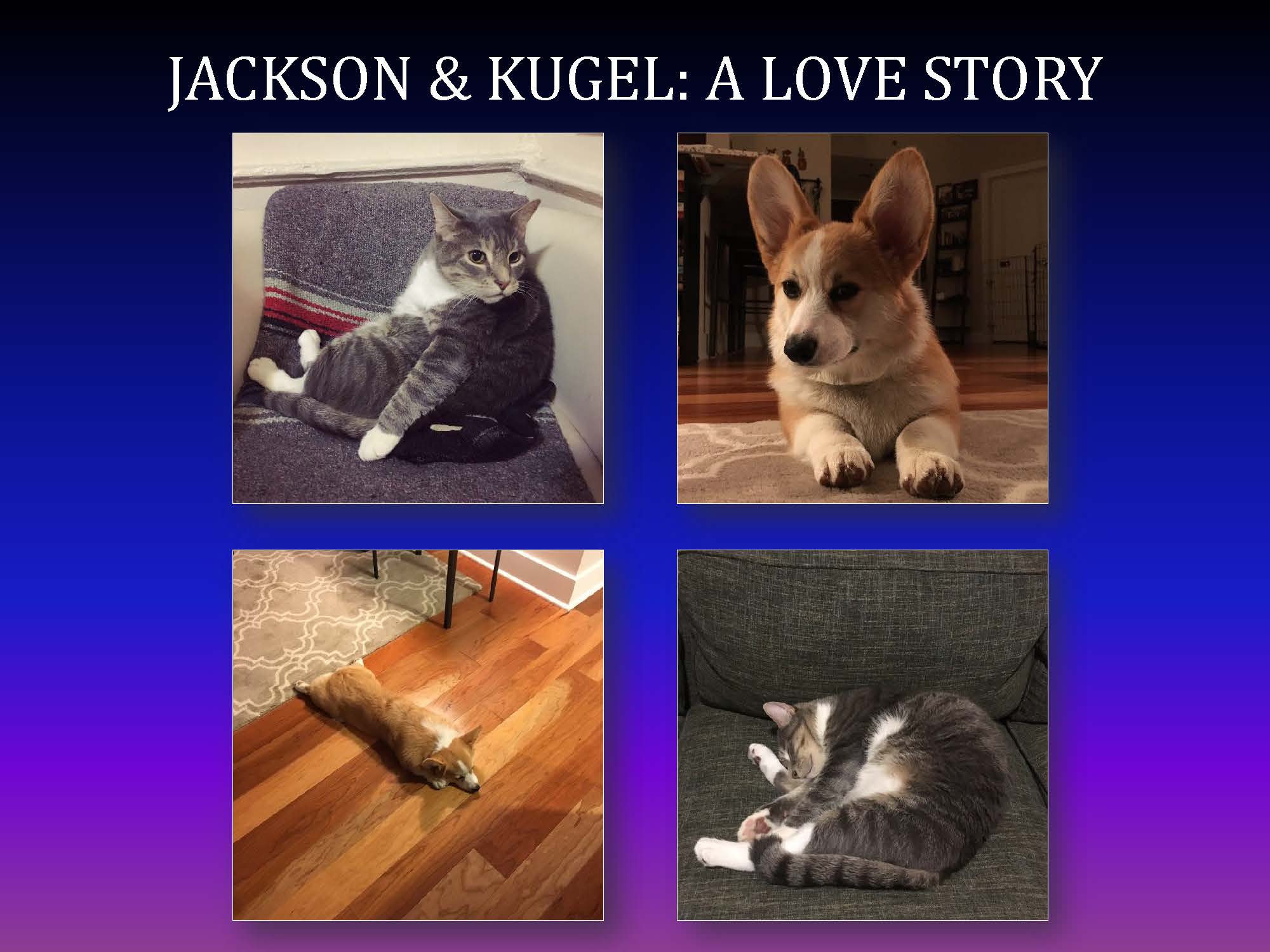 Jackson+Kugel