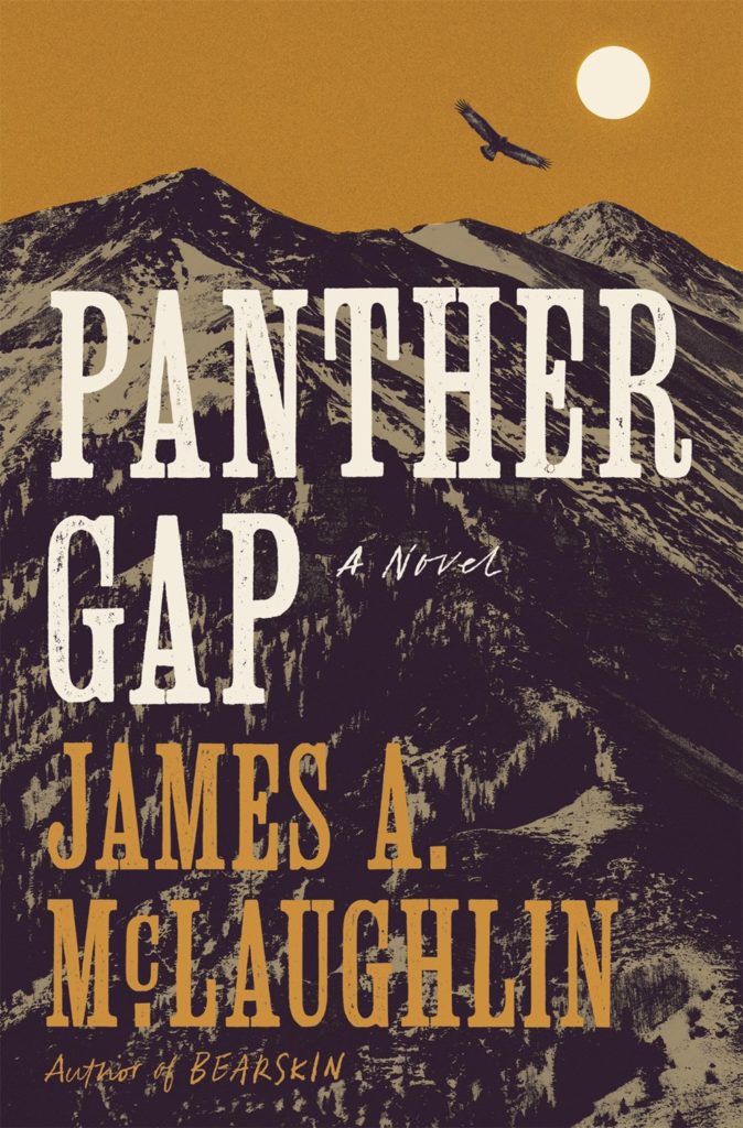 Panther gap cover