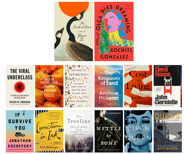 Chicago public library's best books of 2022 collage