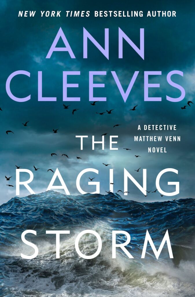 The raging storm cover
