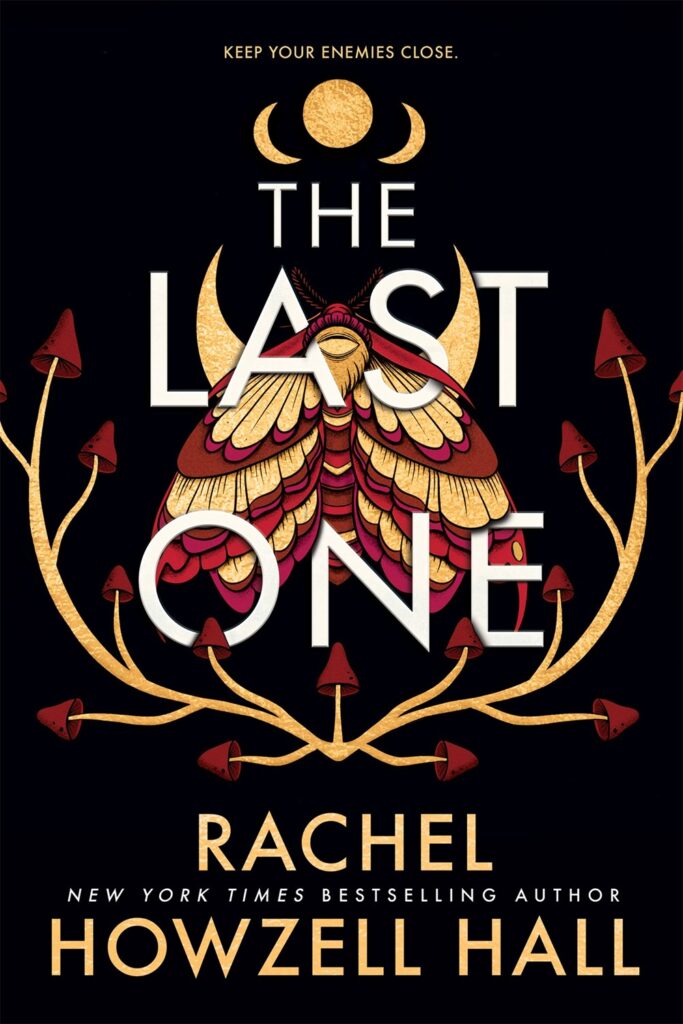 The last one cover