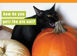 How you get the pie out cat